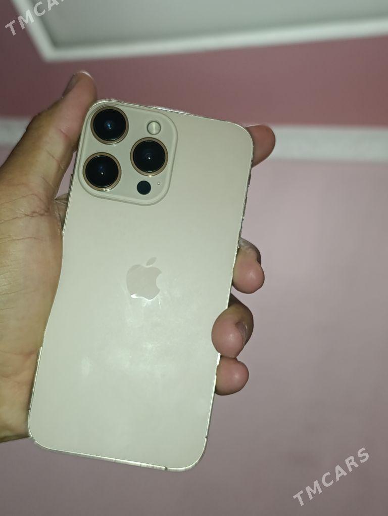 Xsden 16pro owurilen - Керки - img 1