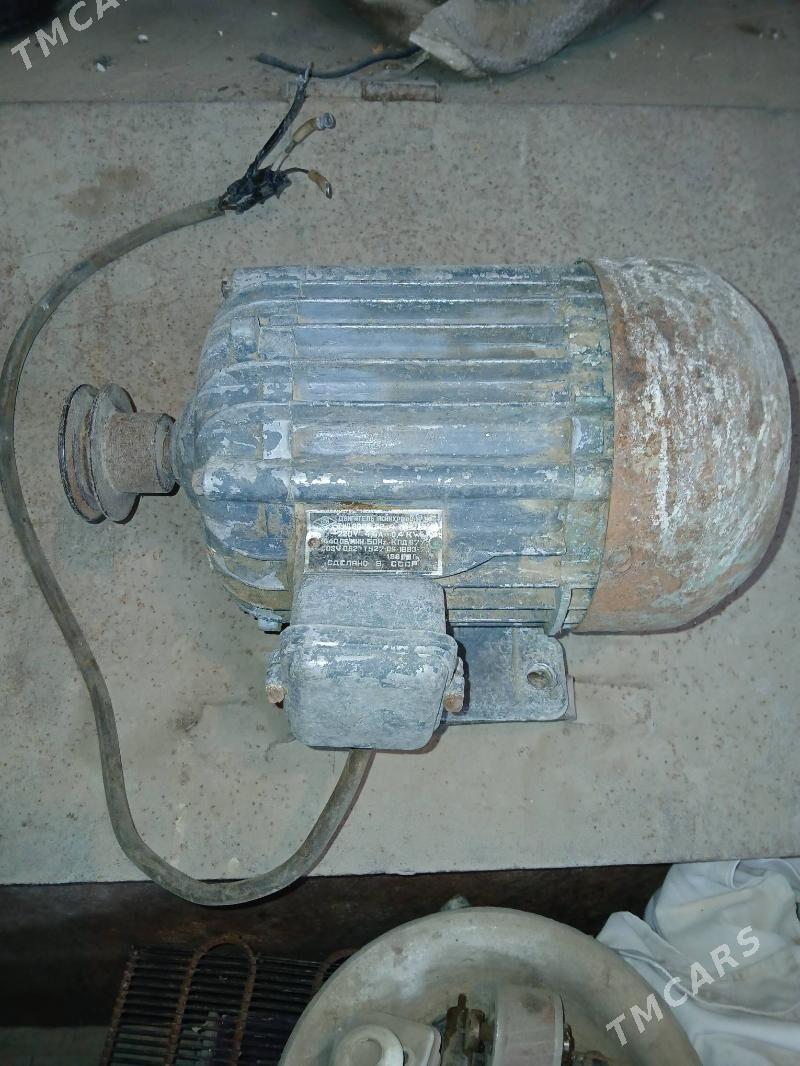 ot maşynyň matory - Ýaşlyk - img 3