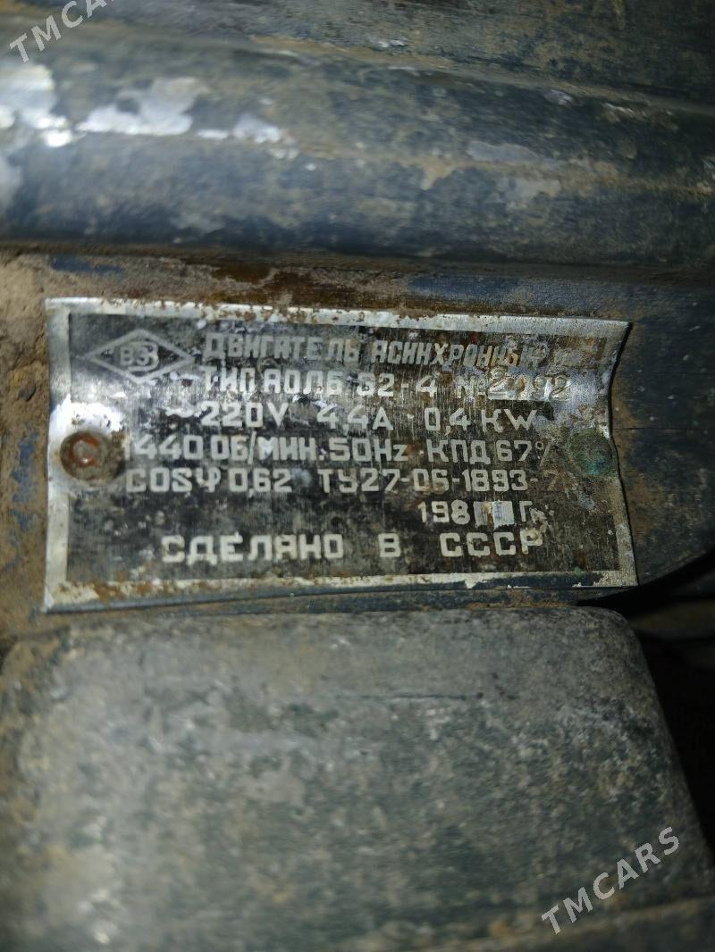 ot maşynyň matory - Ýaşlyk - img 2