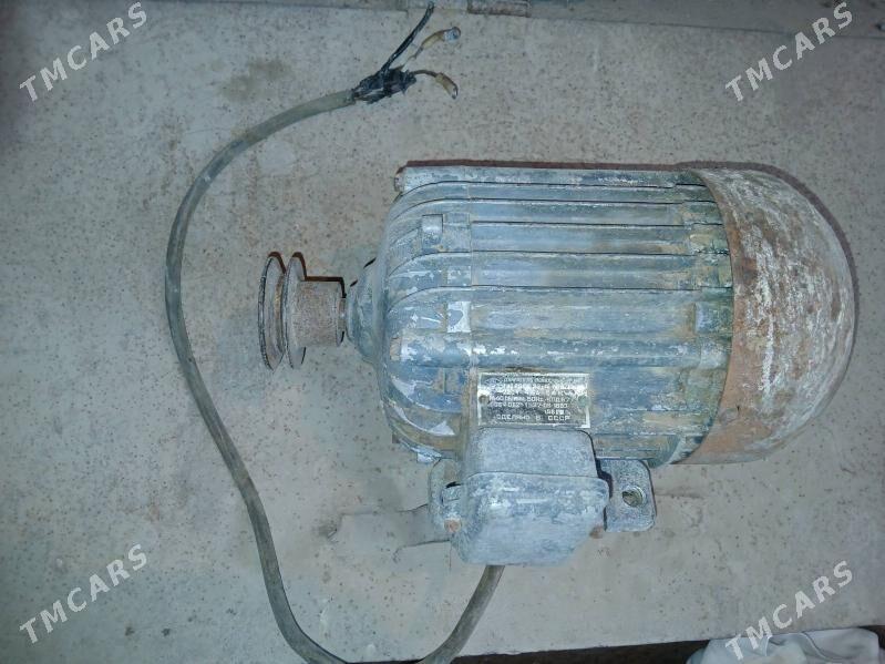 ot maşynyň matory - Ýaşlyk - img 1