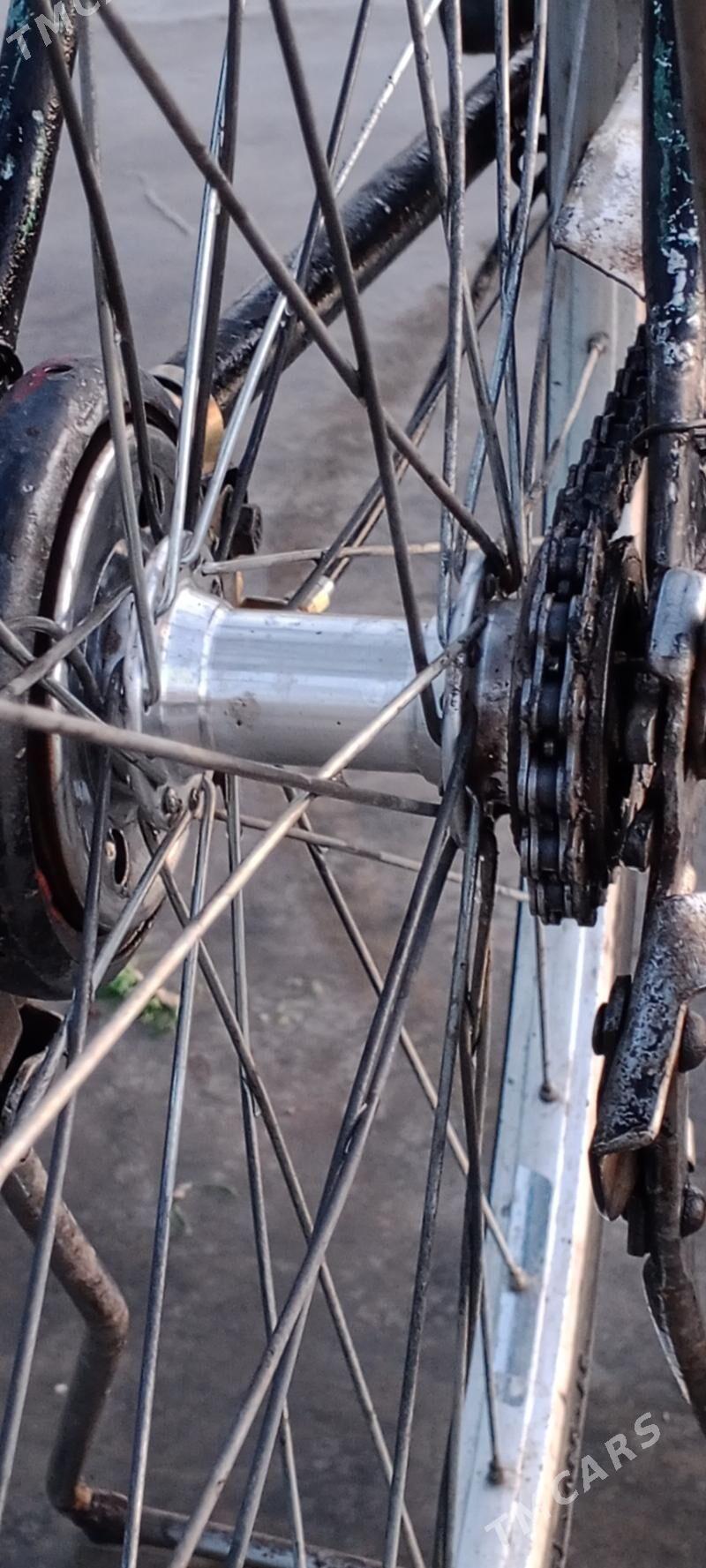 WELSEPED - Sarahs - img 3