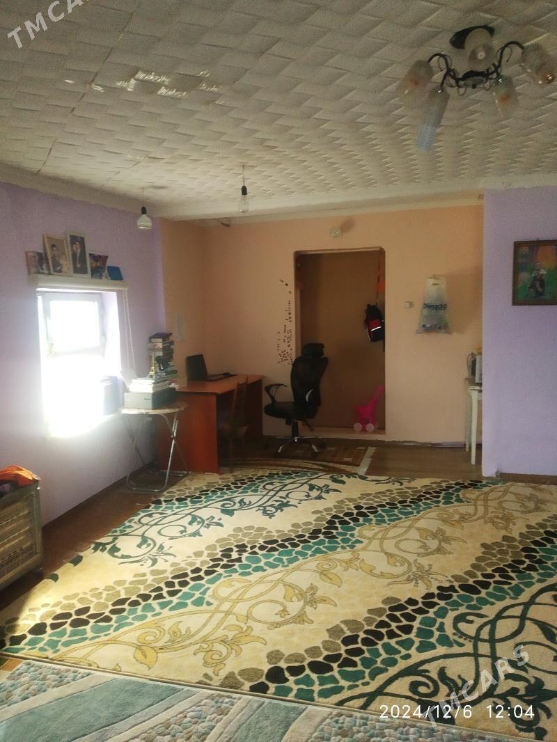 Satlyk jay - Mary - img 8