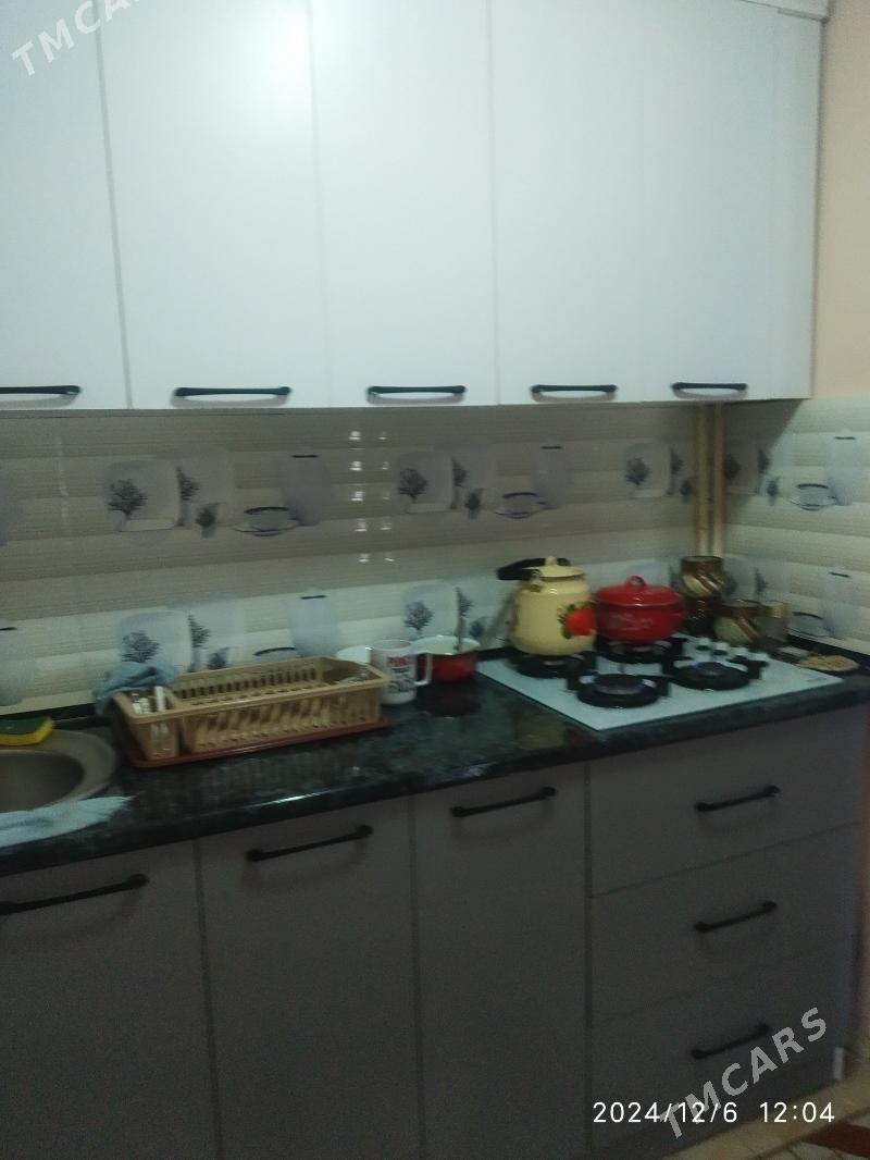 Satlyk jay - Mary - img 6