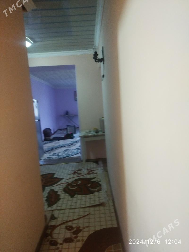 Satlyk jay - Mary - img 3