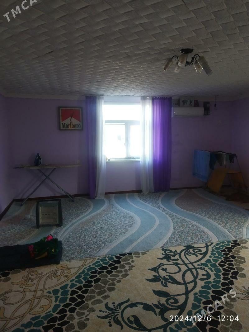 Satlyk jay - Mary - img 7