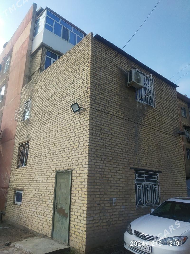 Satlyk jay - Mary - img 2