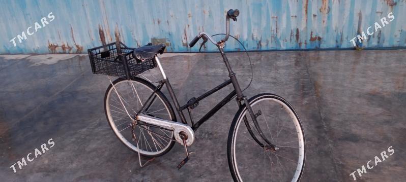 WELSEPED - Sarahs - img 4