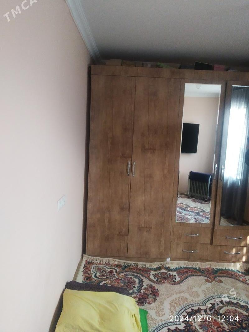 Satlyk jay - Mary - img 4