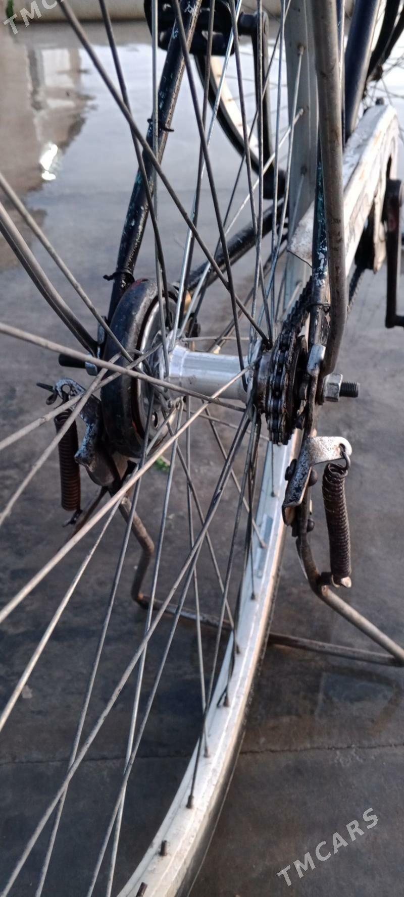 WELSEPED - Sarahs - img 2