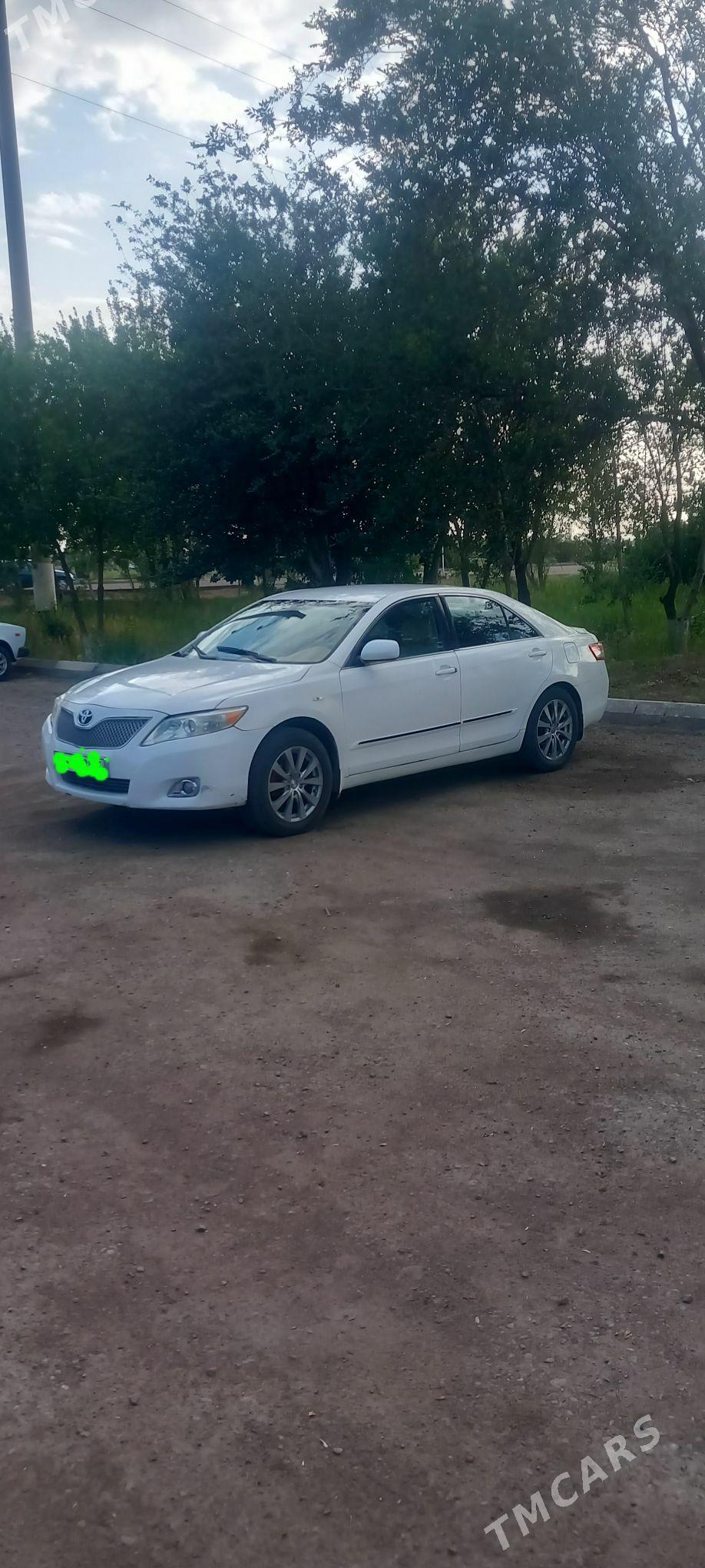 Toyota Camry 2010 - 126 000 TMT - Кёнеургенч - img 2