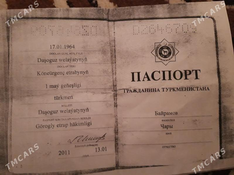 Bayramow Cary - Гороглы (Тагта) - img 2