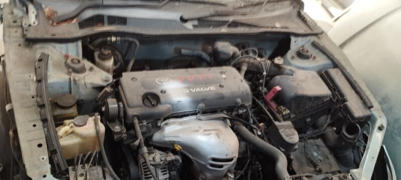 duty kemri morda 4 400 TMT - Mary - img 4