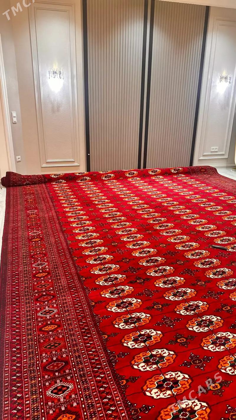  Gyzylarbat El Haly 7.5×4 m - Aşgabat - img 3