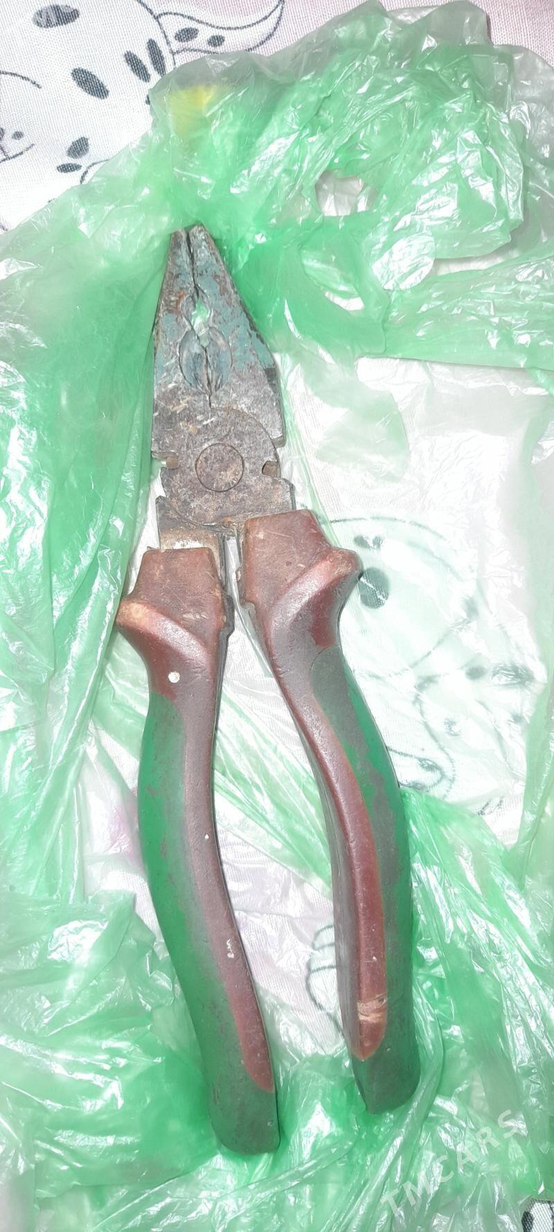 Atagzy orsyňky - Чоганлы - img 2