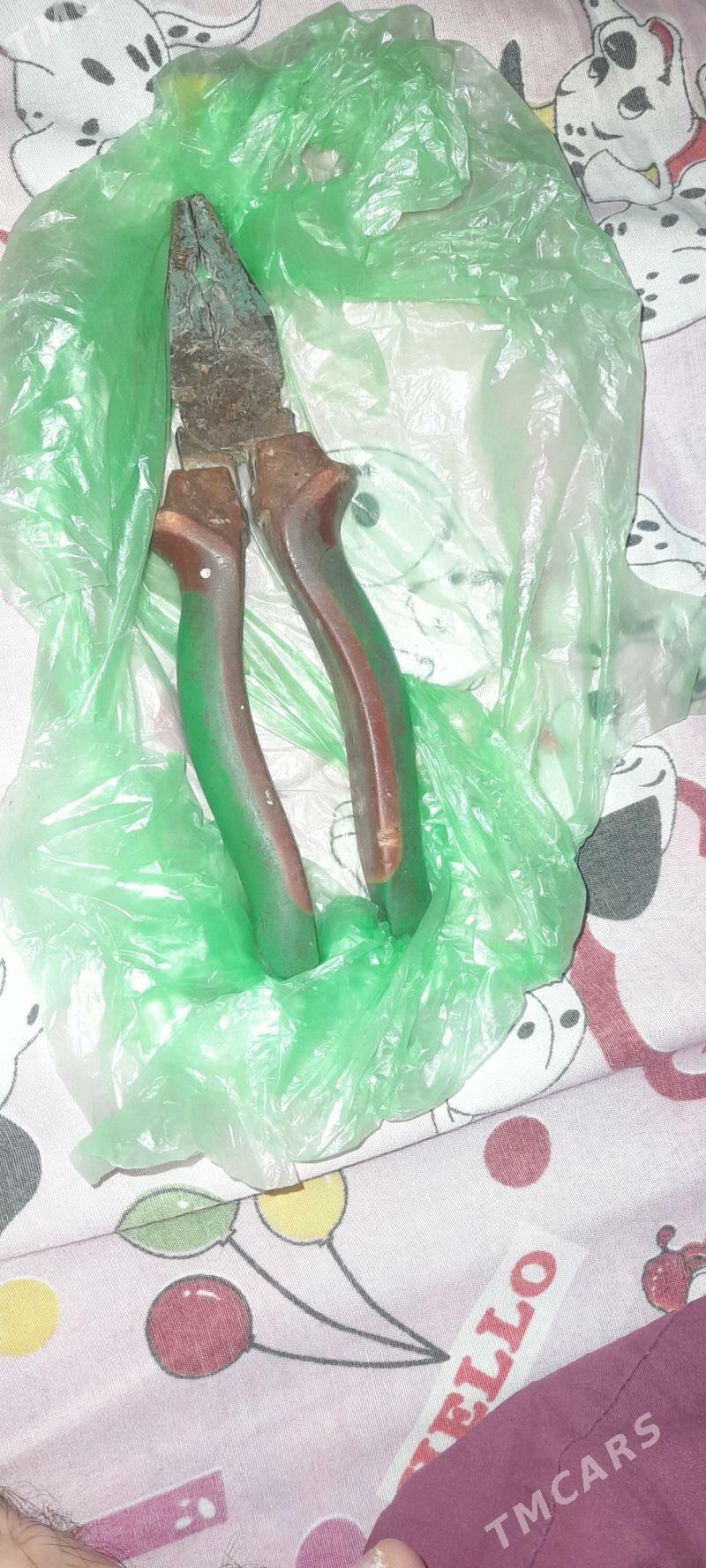 Atagzy orsyňky - Чоганлы - img 3