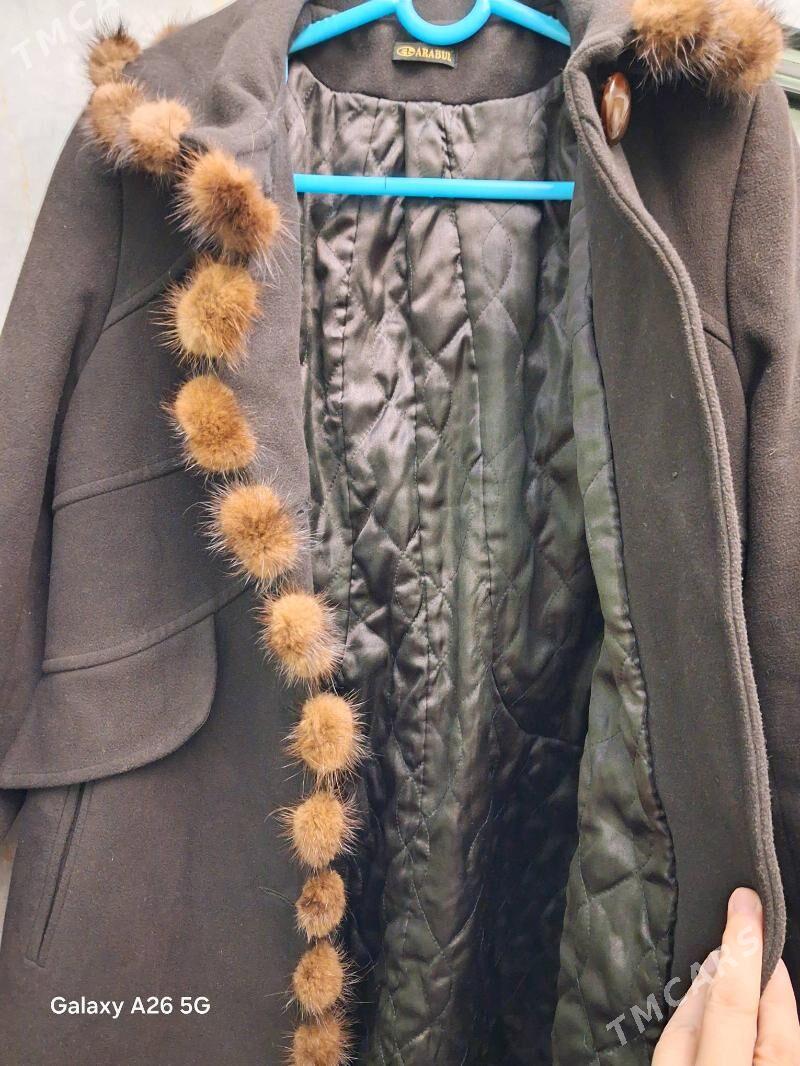 Palto - Дашогуз - img 3