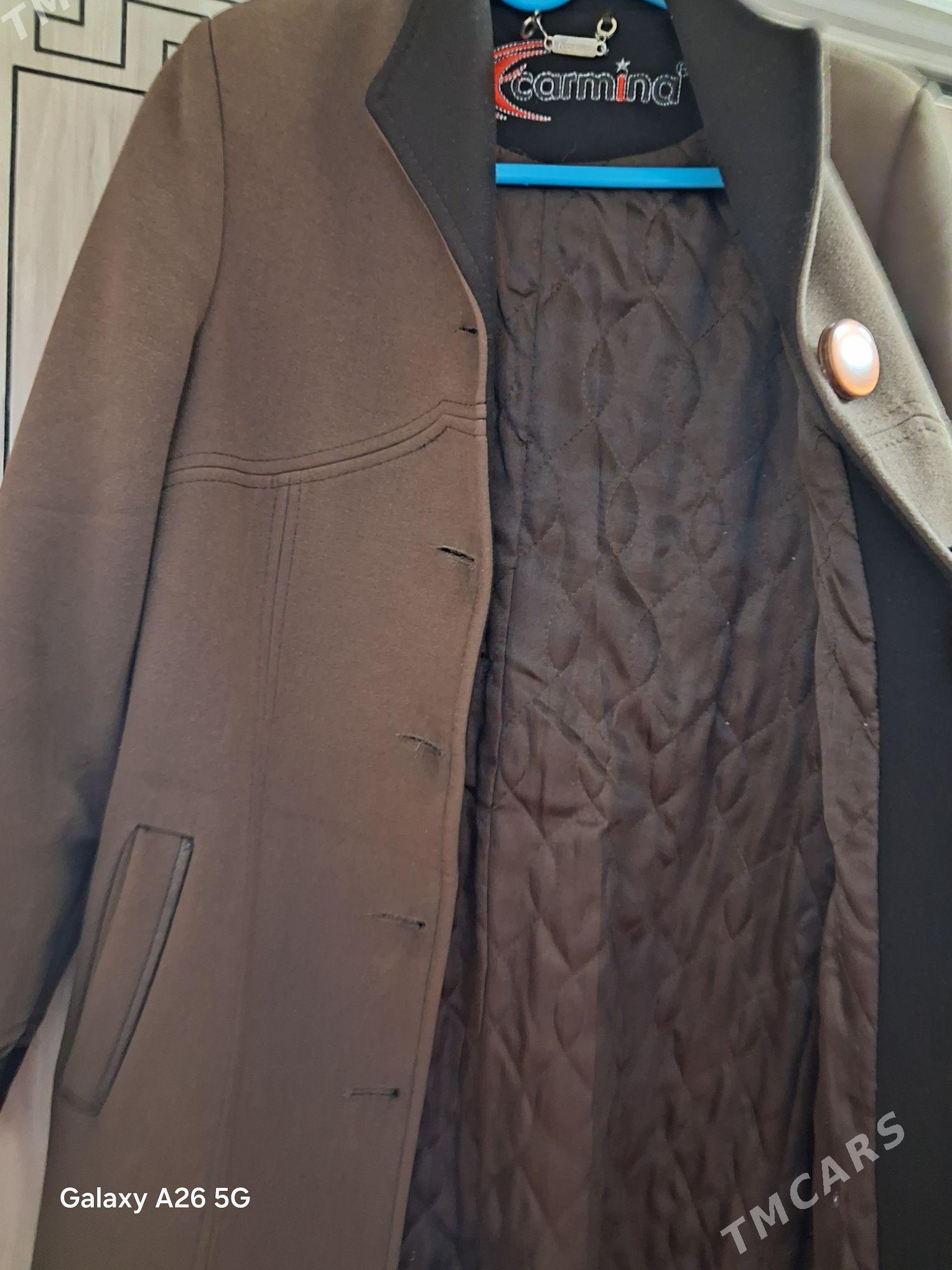 Palto - Daşoguz - img 4