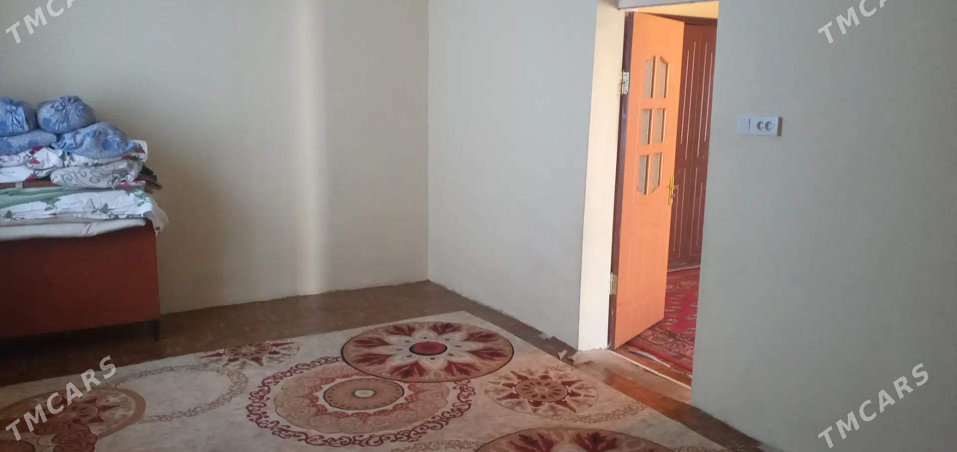 kireyne jay - Kaka - img 2