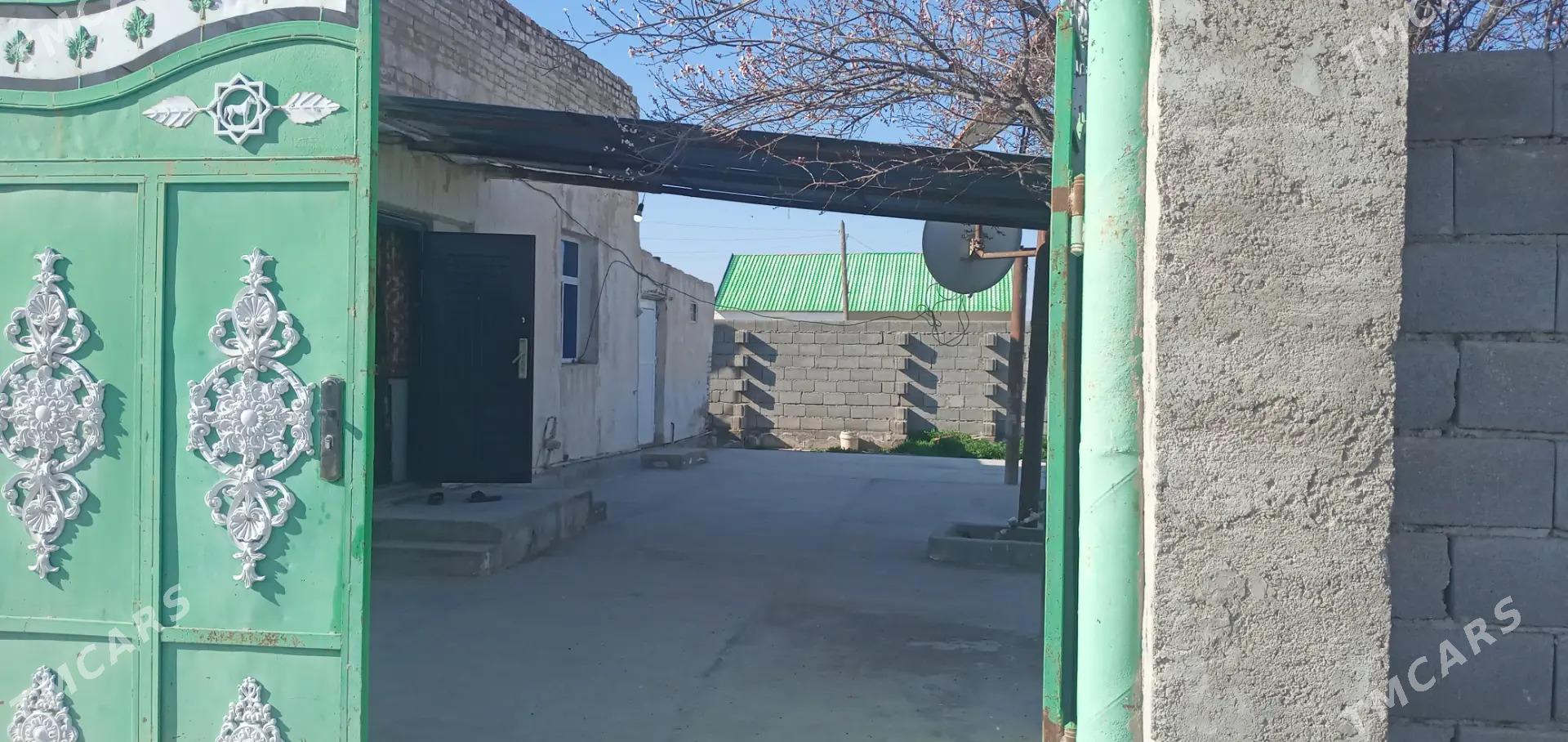 kireyne jay - Kaka - img 5