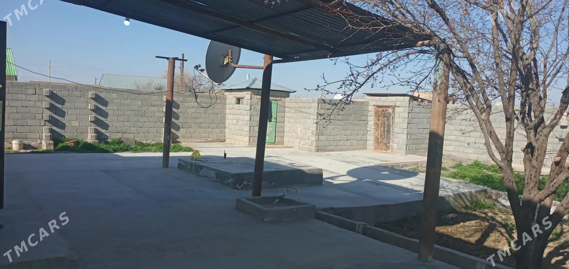 kireyne jay - Kaka - img 7