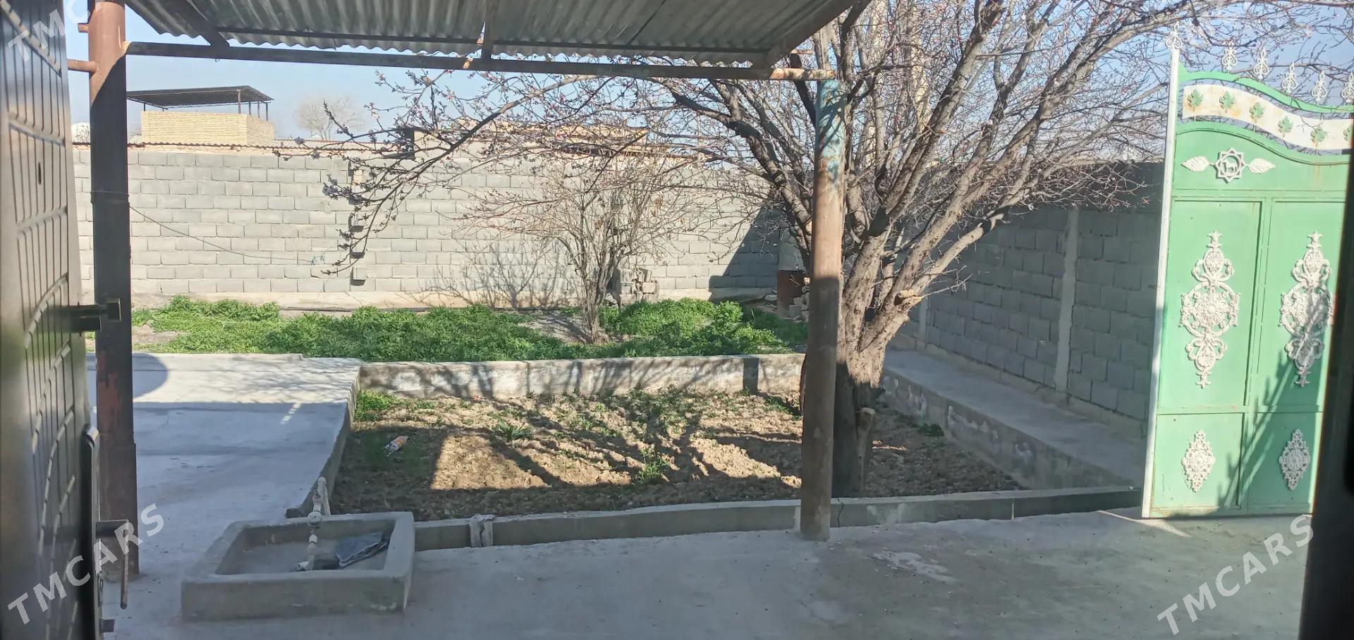 kireyne jay - Kaka - img 3