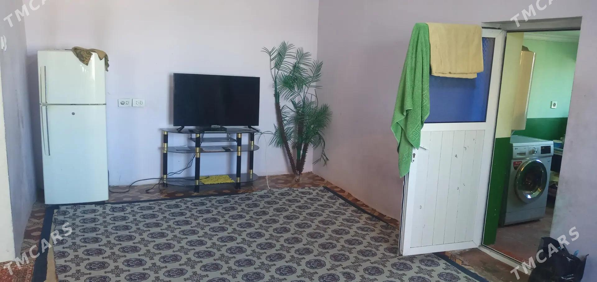 kireyne jay - Kaka - img 4