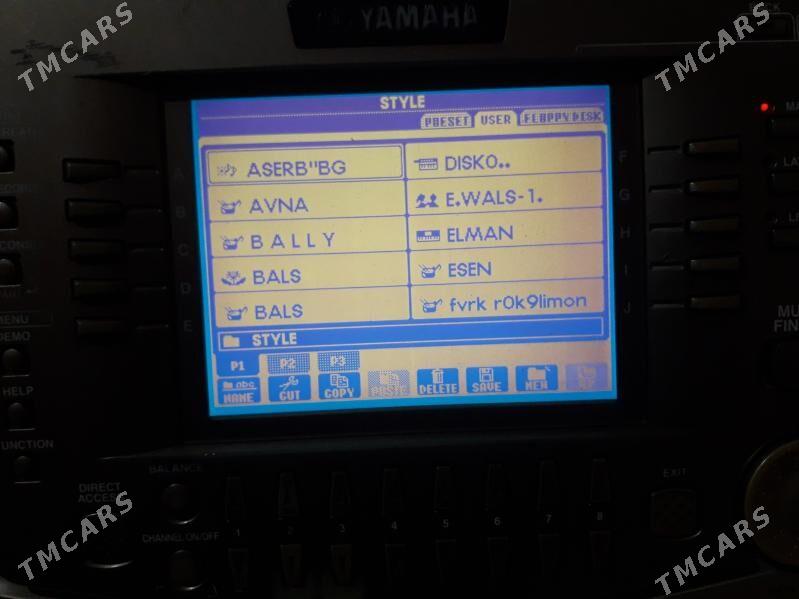 yamaha 2100 - Mary - img 4