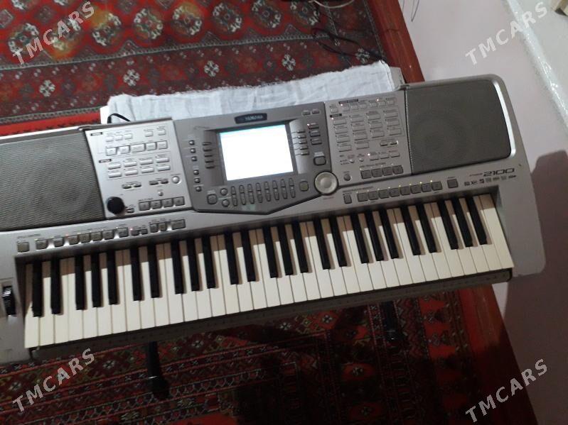 yamaha 2100 - Mary - img 2