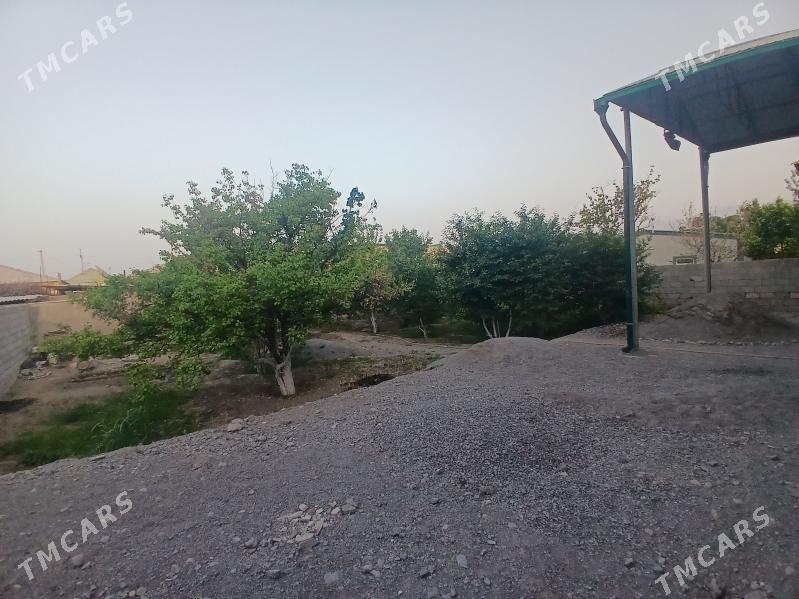 Gokje Jay - Gökje - img 5