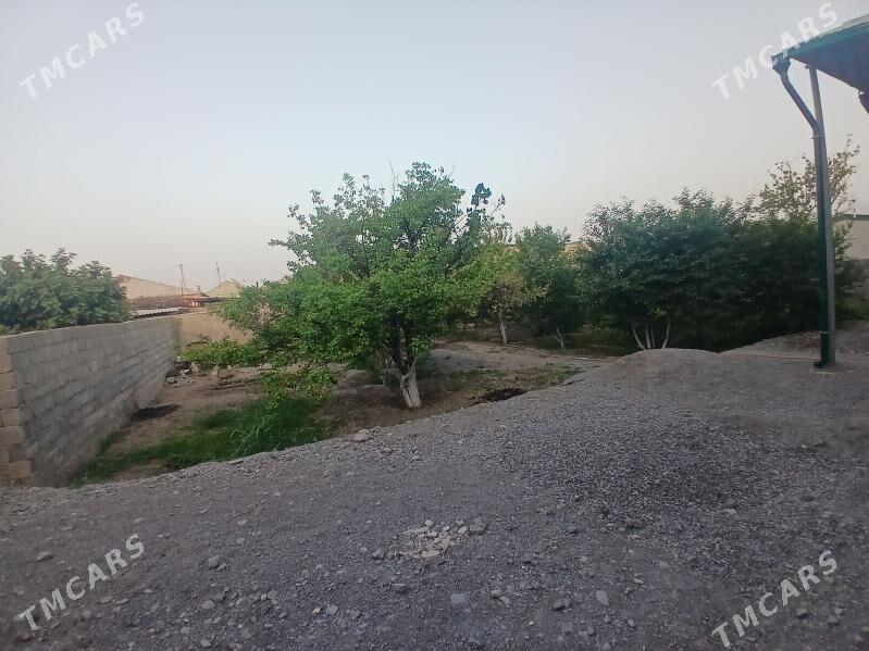 Gokje Jay - Gökje - img 6