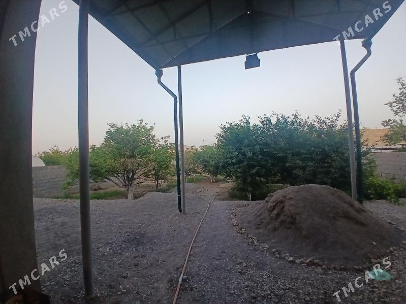 Gokje Jay - Gökje - img 4