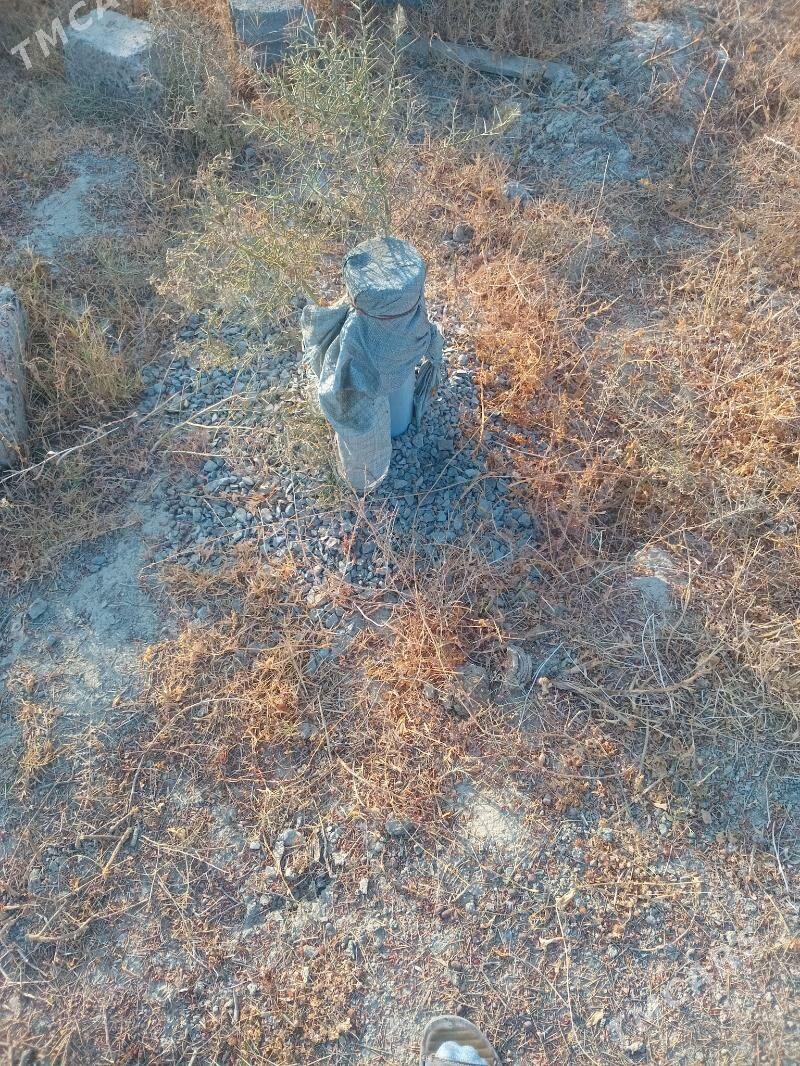 mellek ýer kelejarda - Gökdepe - img 4