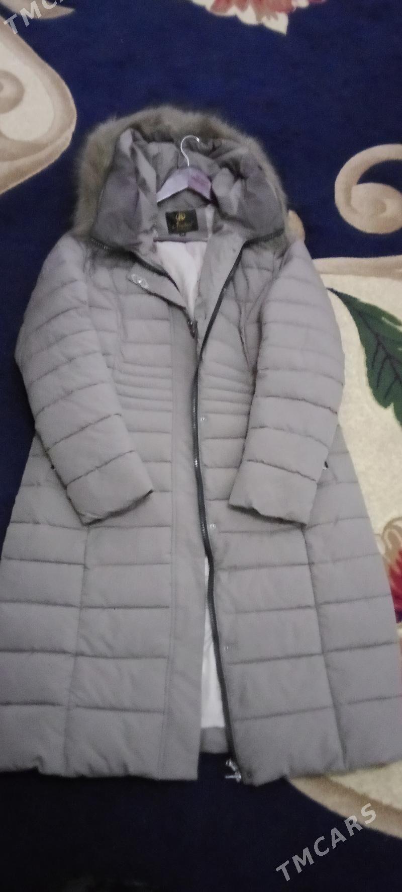 kurtga - Daşoguz - img 3