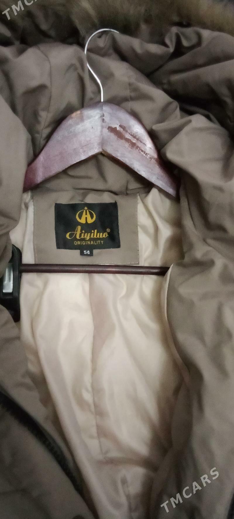 kurtga - Daşoguz - img 2