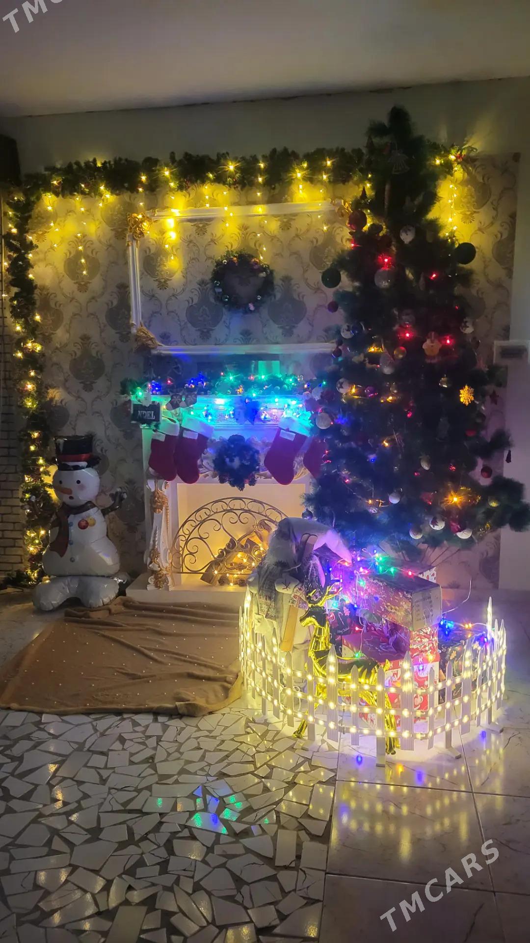 Taze yyl arçasy - Керки - img 5