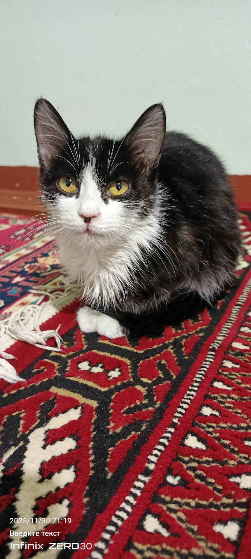 найдёныш мальчик - Mary - img 4