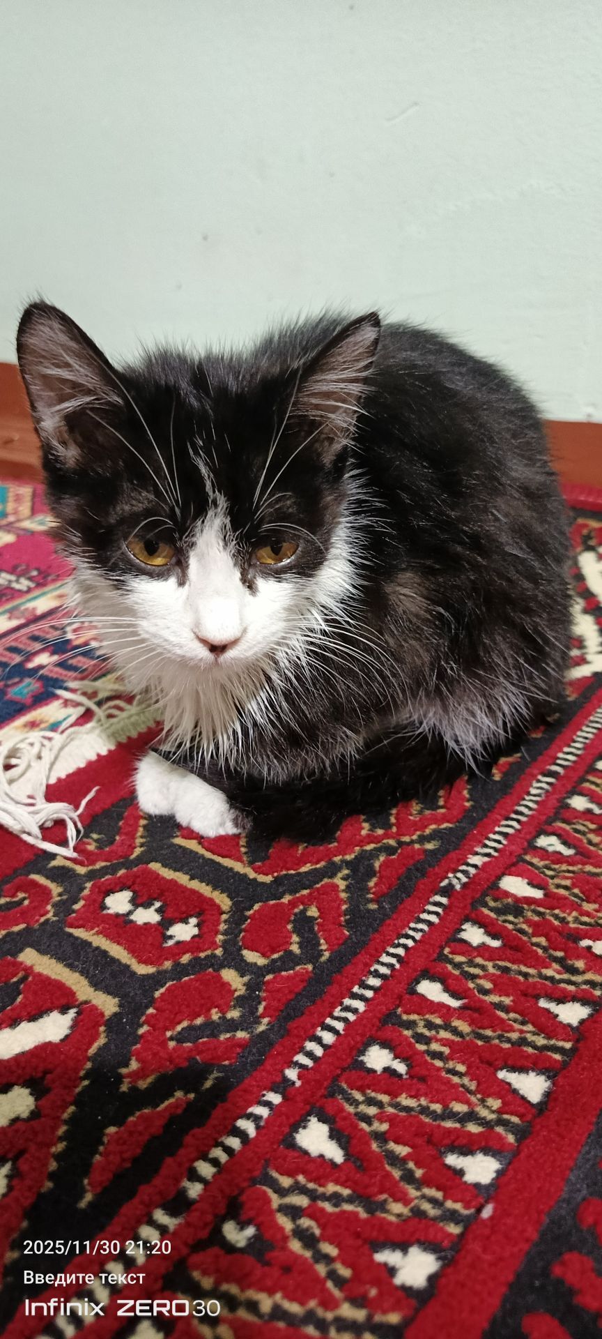 найдёныш мальчик - Mary - img 2