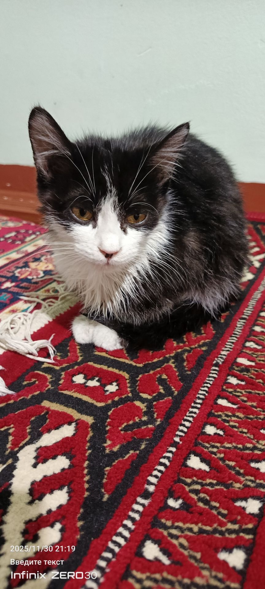 найдёныш мальчик - Mary - img 3