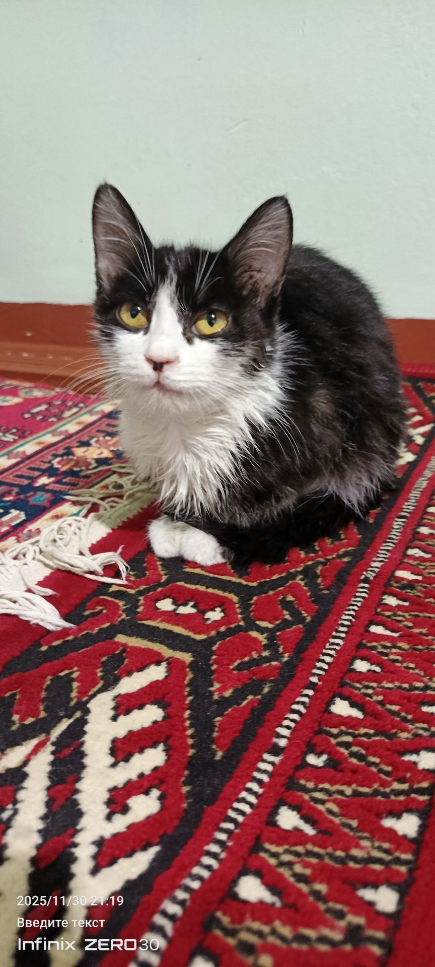 найдёныш мальчик - Mary - img 1