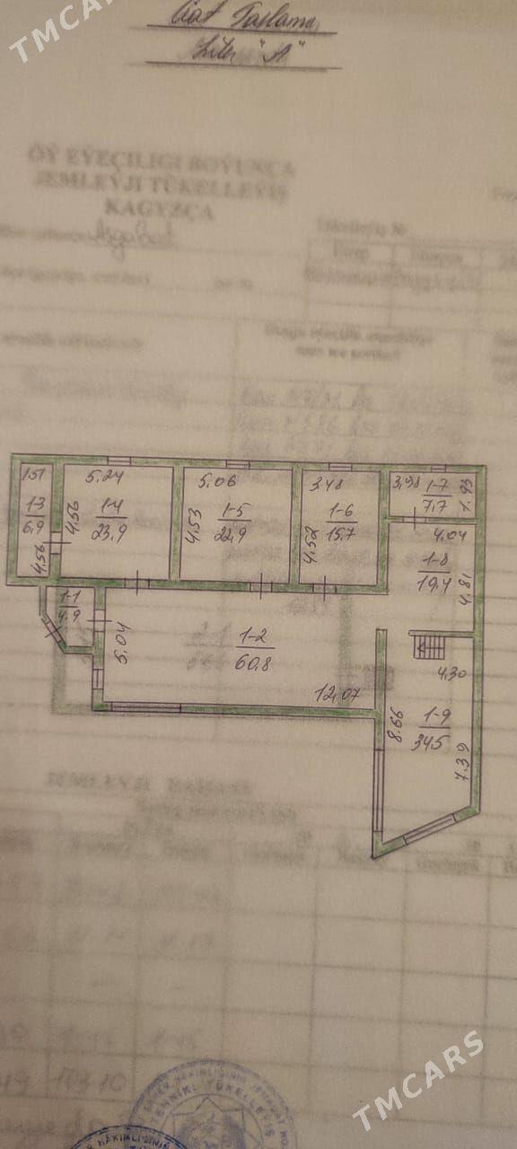 Bagyr  Багир Bekrewe  Gokje - Bagyr - img 9