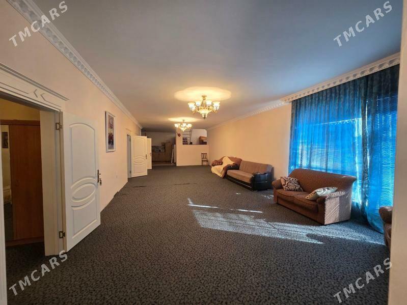 Bagyr  Багир Bekrewe  Gokje - Bagyr - img 7