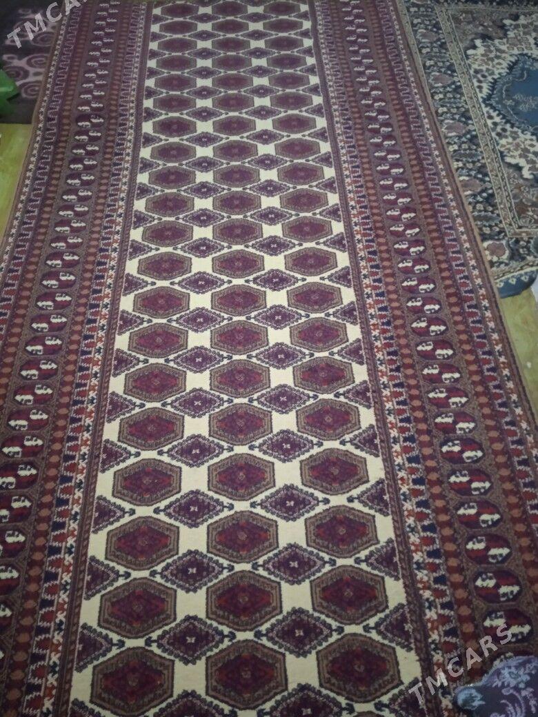 haly - Balkanabat - img 1