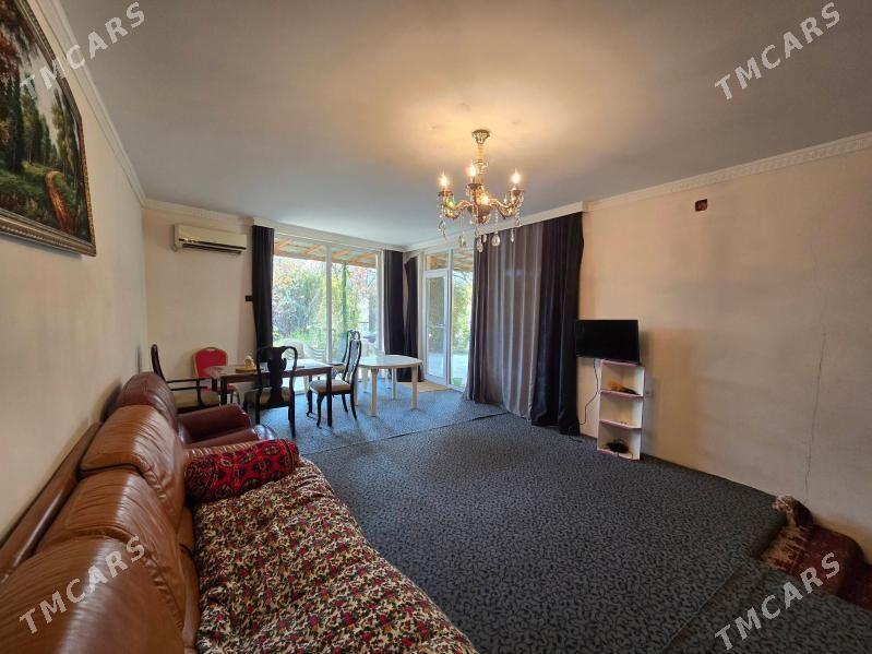 Bagyr  Багир Bekrewe  Gokje - Bagyr - img 8