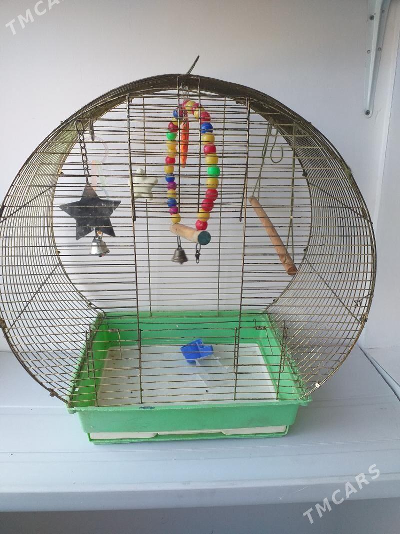 клетка - Балканабат - img 2