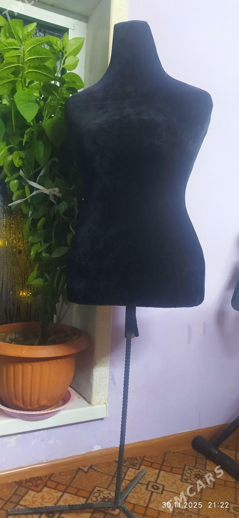 maniken - Türkmenabat - img 2