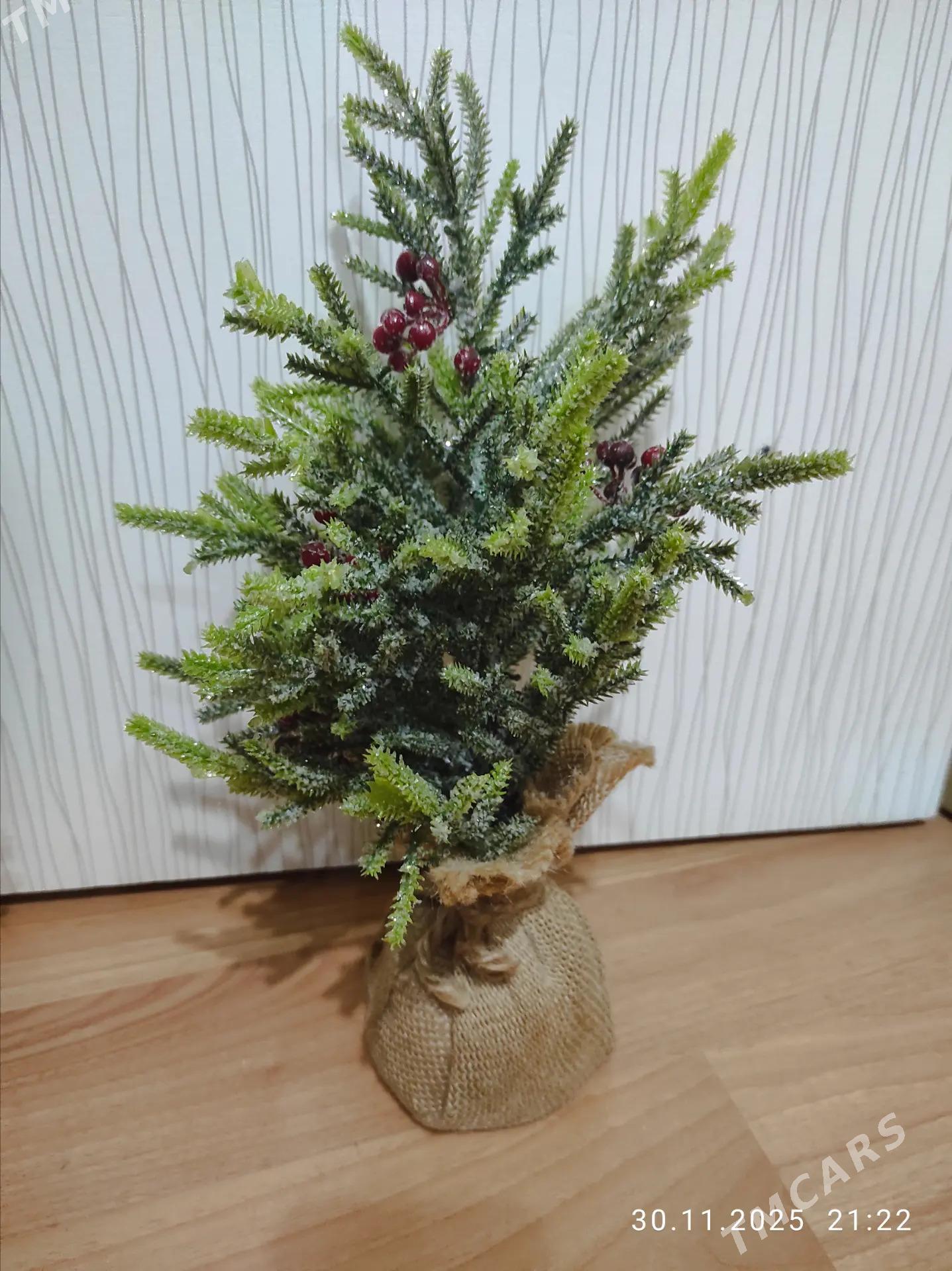 Ёлка ,yolka - Aşgabat - img 3