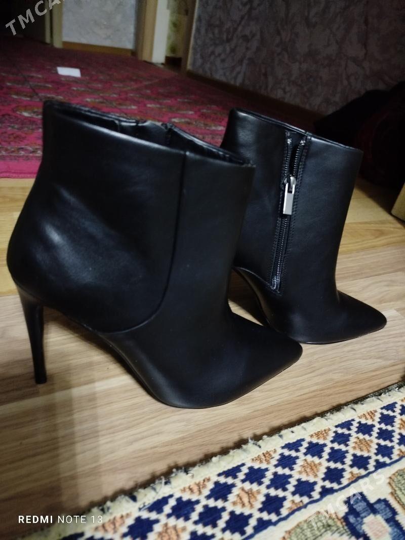 ädik - Daşoguz - img 4