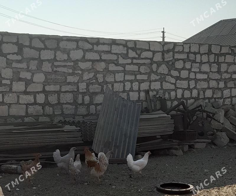 Towuk - Балканабат - img 3