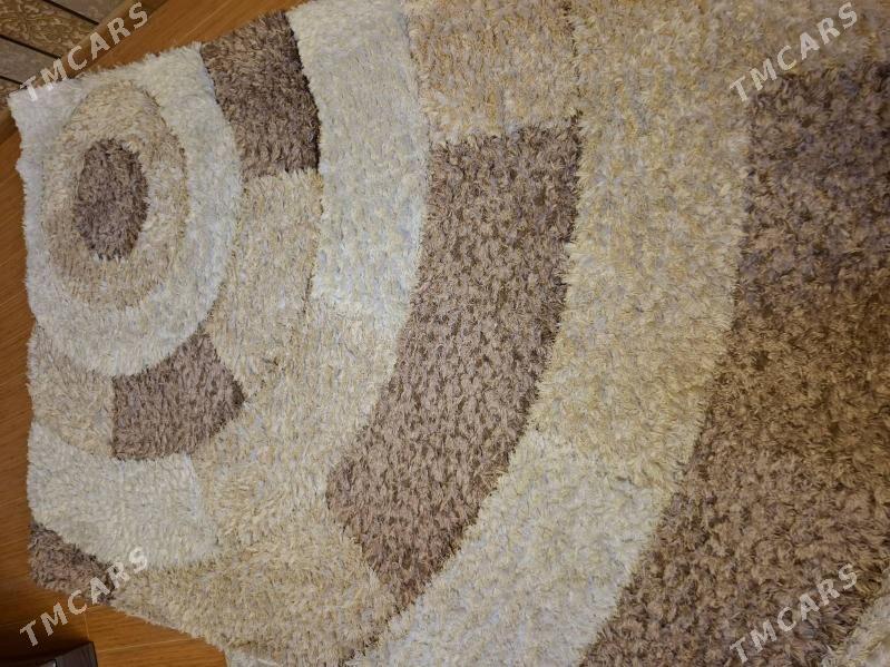 haly - 14-nji tapgyr (Sowhozny köç) - img 2