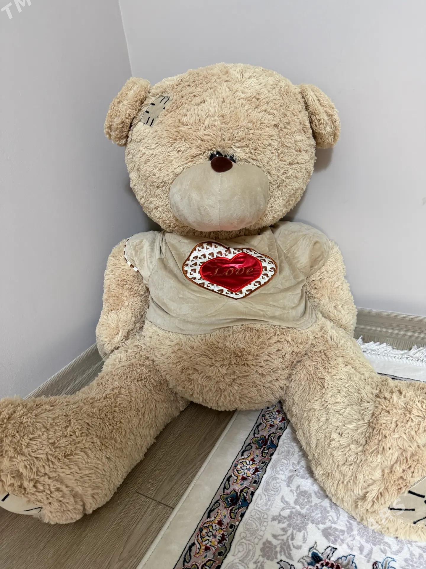 Mişka - Gurtly - img 2